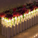 LED Photo Clip String Lights – Decorative Hanging Fairy Lights for Photos & Room Decor