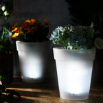Solar LED Illuminated Planter Pots – Modern Glow Pots for Indoor & Outdoor Decor