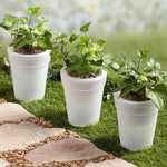 Solar LED Illuminated Planter Pots – Modern Glow Pots for Indoor & Outdoor Decor