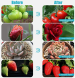 LED Grow Light for Plants – Full Spectrum Indoor Plant Light