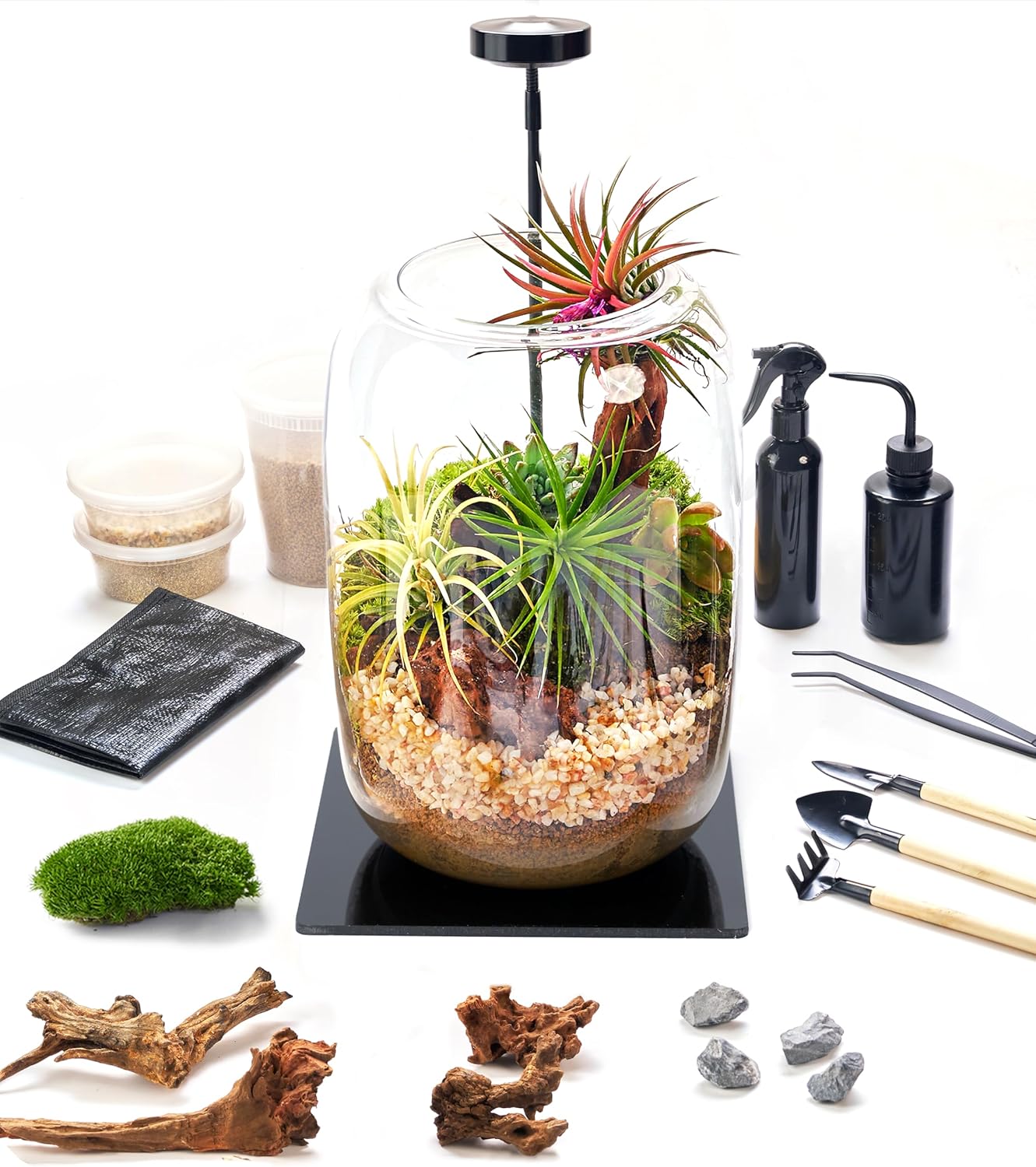 LED Terrarium Kit – Complete Indoor Mini Garden with Grow Light