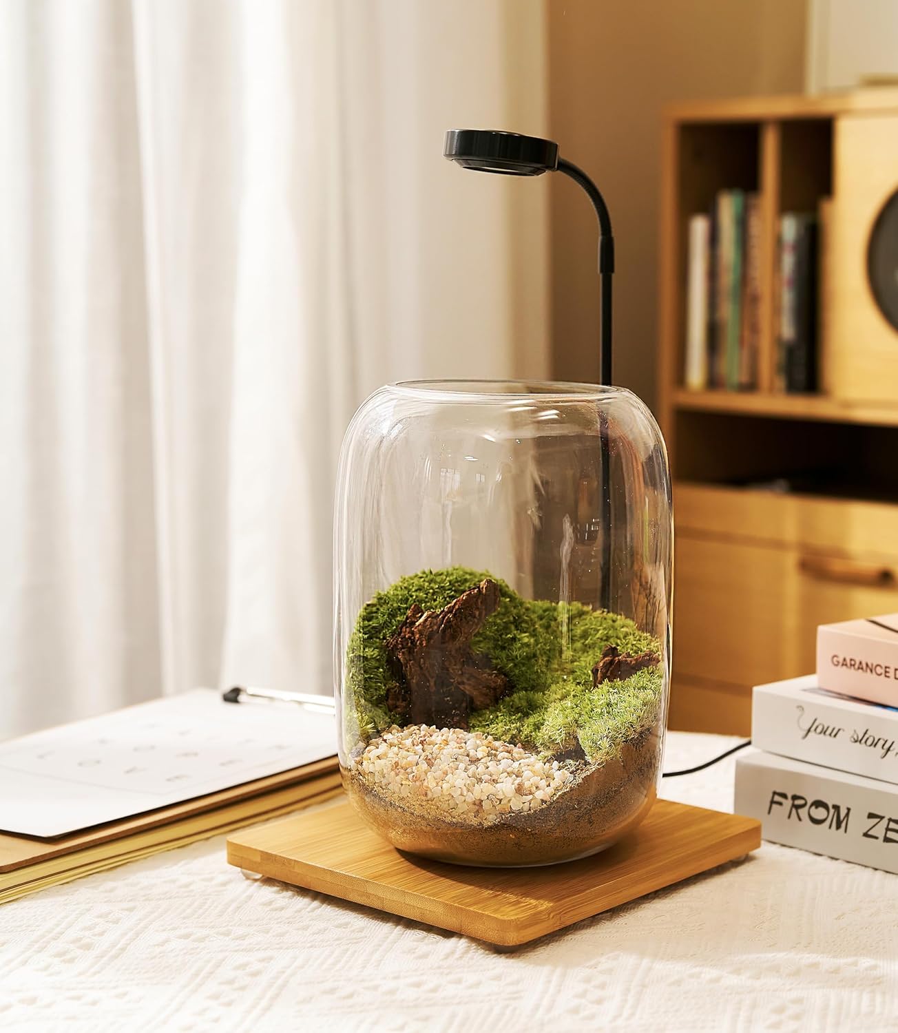 LED Terrarium Kit – Complete Indoor Mini Garden with Grow Light
