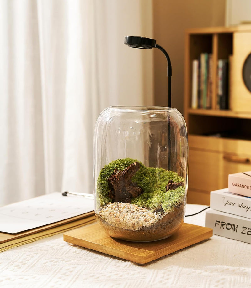 LED Terrarium Kit – Complete Indoor Mini Garden with Grow Light