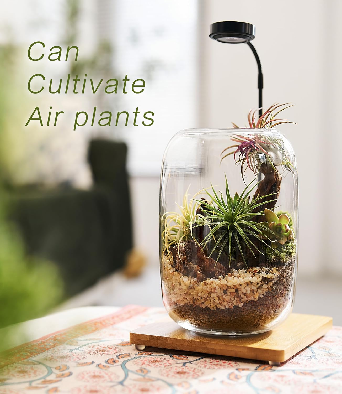 LED Terrarium Kit – Complete Indoor Mini Garden with Grow Light