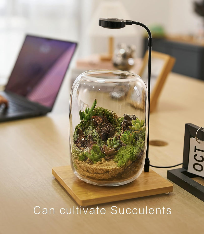 LED Terrarium Kit – Complete Indoor Mini Garden with Grow Light