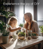 LED Terrarium Kit – Complete Indoor Mini Garden with Grow Light