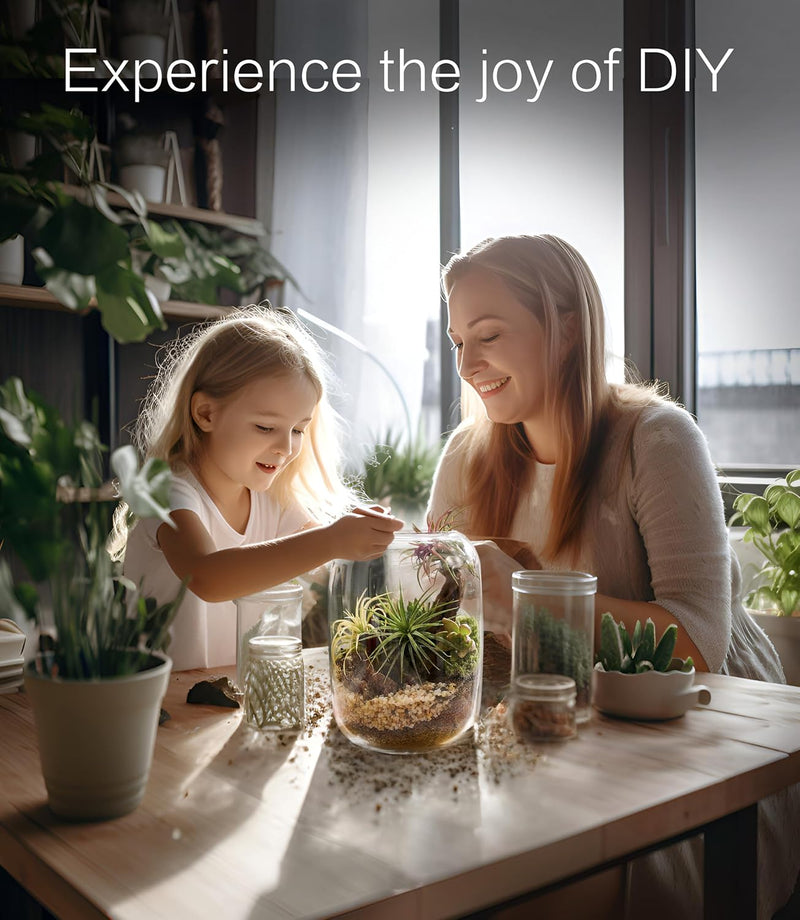 LED Terrarium Kit – Complete Indoor Mini Garden with Grow Light