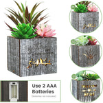 LED Succulent Night Light – Cute Shaped Artificial Plants