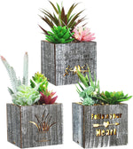 LED Succulent Night Light – Cute Shaped Artificial Plants