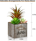 LED Succulent Night Light – Cute Shaped Artificial Plants