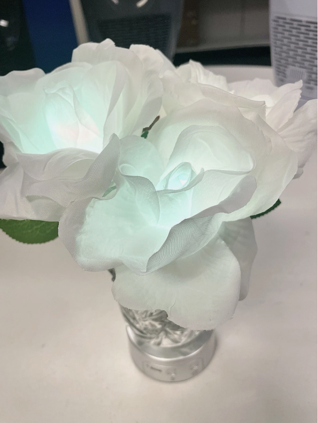 LED Decorative Vases – Rechargeable LED Color changing Flower Light
